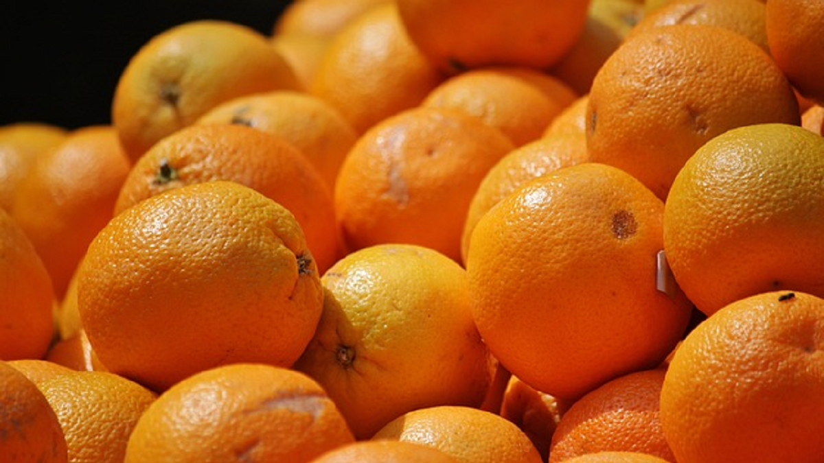 comision reguladora de citricos|FOTO 1 TABLA CON HISTORICO DE INTERCEPTACIONES DE CBS